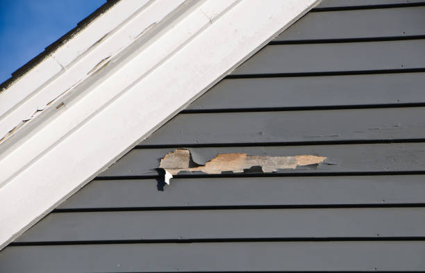 Custom Trim and Detailing for Siding in Algoma, WI